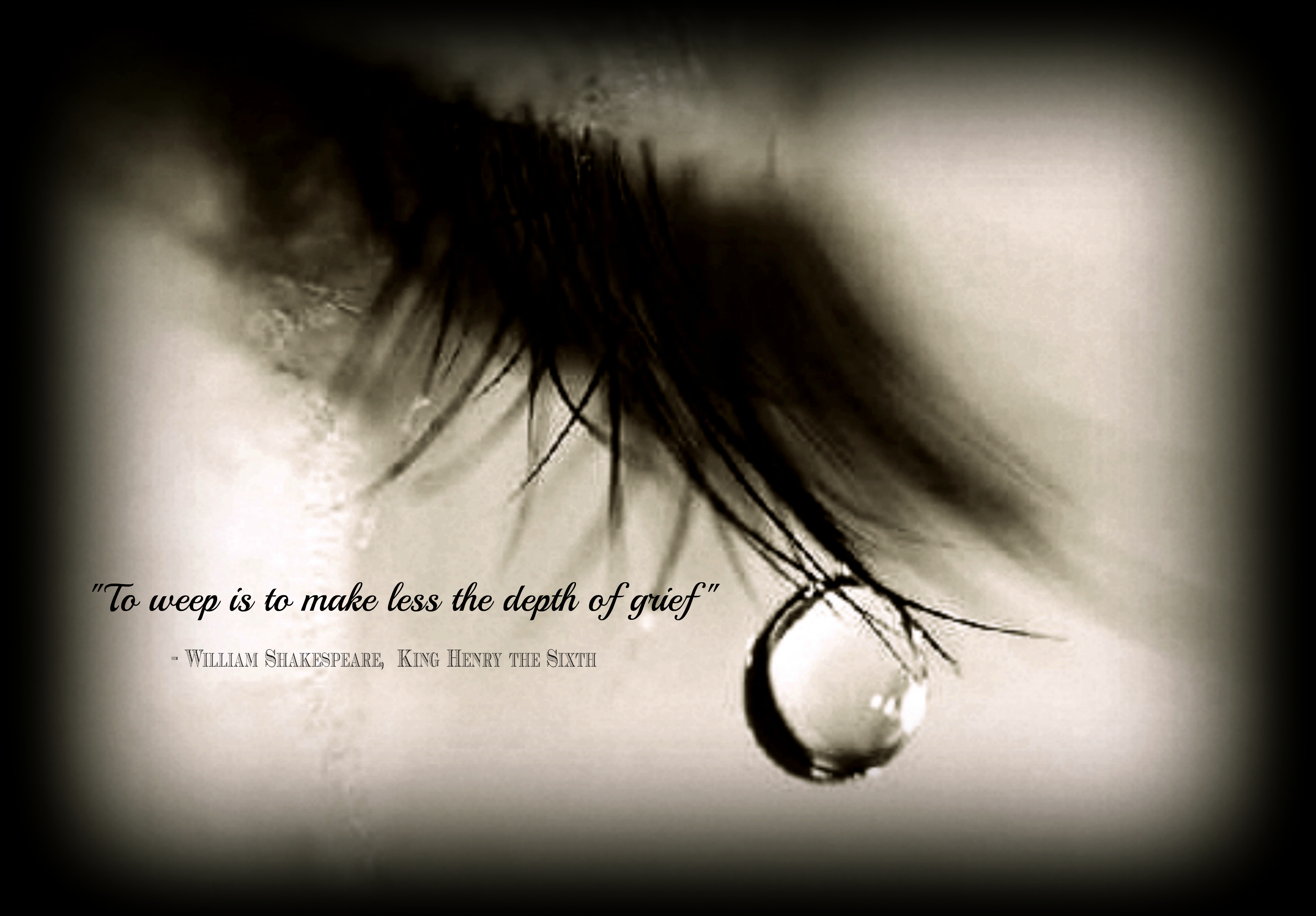Tears quote for word press skinny
